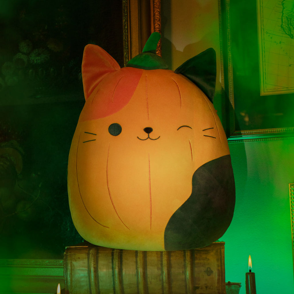 Pumpkin Cam