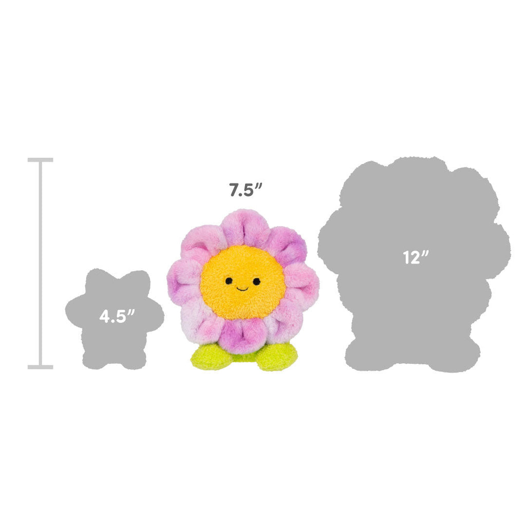 Cracker Craig