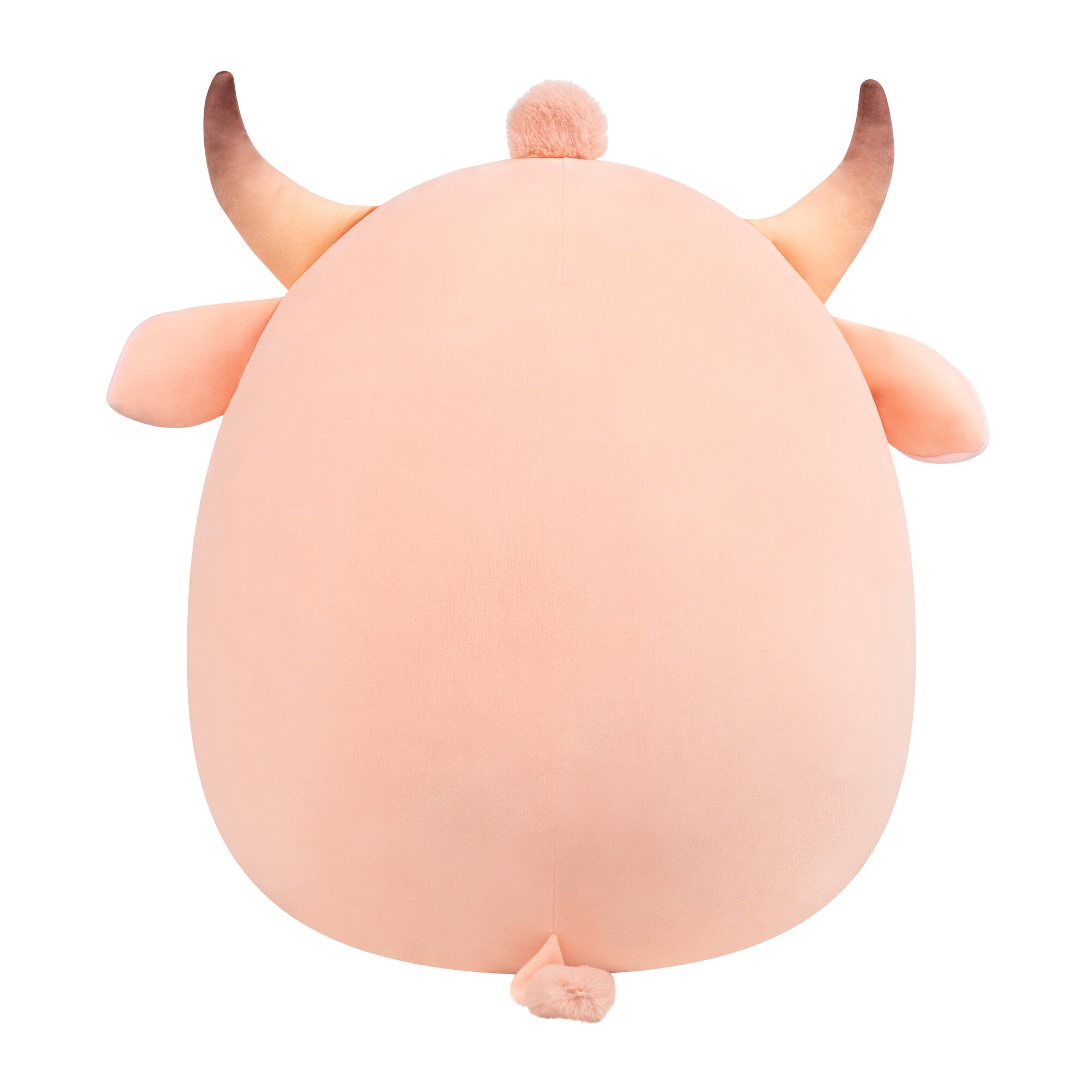 20-Inch Howland the Peach Brahman Bull