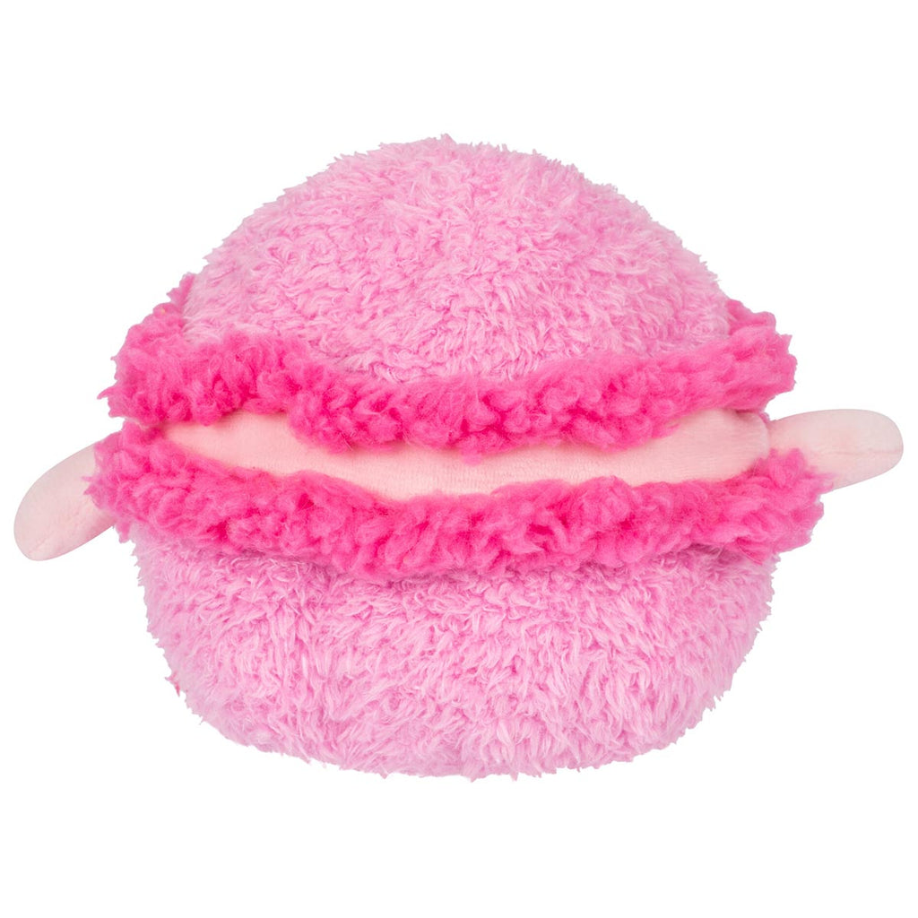 Macaron Micah