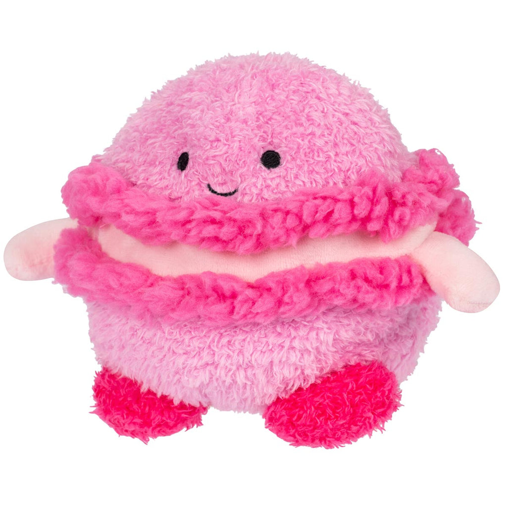 Macaron Micah